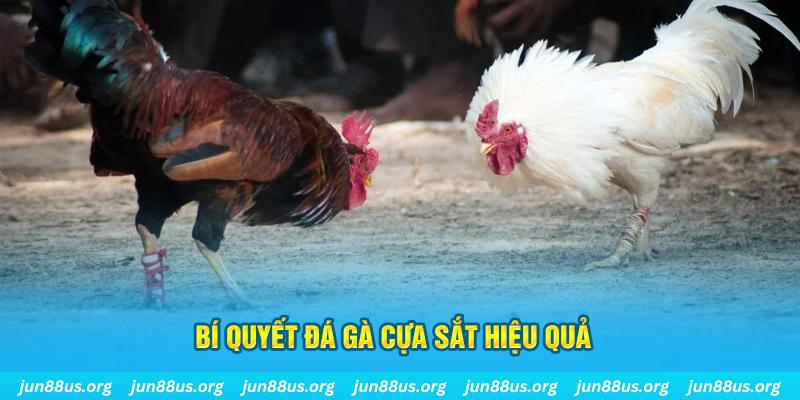 jili slot xổ số miền bắc thứ ba hàng tuần