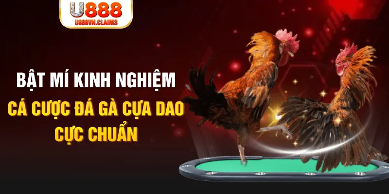 jili slot casino hồ tràm có cho người việt vào không