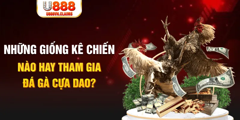 jili slot BG Trực Tuyến