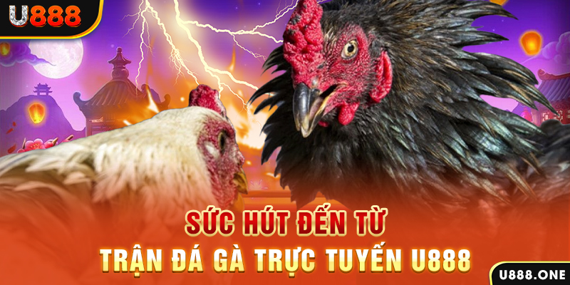 jili slot đăng nhập poker 2024