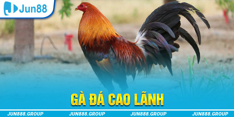 jili slot tai game vua bai ve may tinh