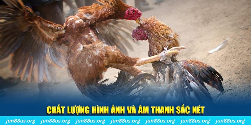 jili slot gà chọi tiêu phong