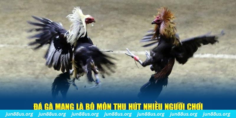 jili slot đăng nhập sòng bạc số 1
