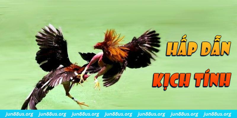 jili slot xổ số miền nam thứ sáu
