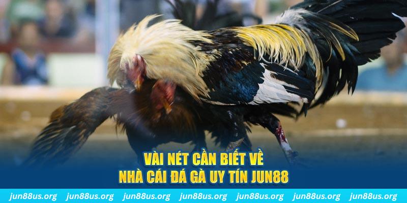 jili slot Jones Chuối