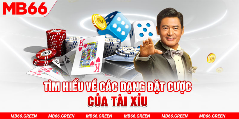 jili slot what is a casino loyalty program