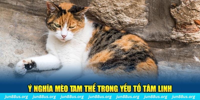 jili slot máy slot game là loại trò chơi gì？