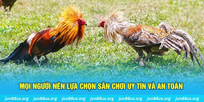 jili slot đăng nhập poker 2025