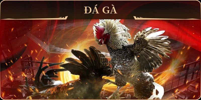 jili slot đá gà trực tiếp campuchia