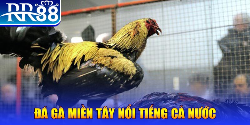 jili slot đá gà 88