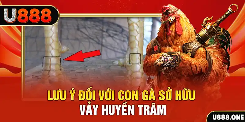 jili slot tải game đánh bài tiến lên miền nam về máy tính