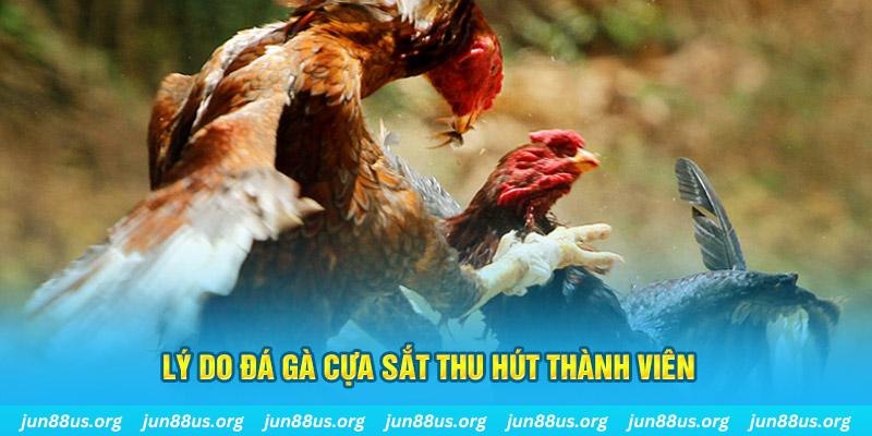 jili slot nổ hũ ăn bao nhiêu