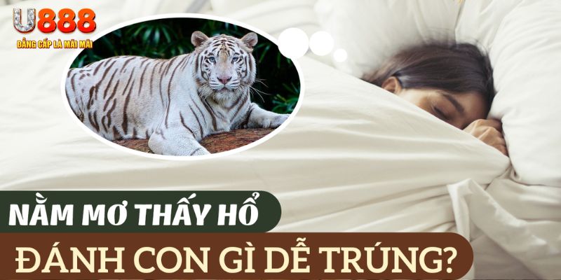 jili slot nohu .mx nổ hủ là gì