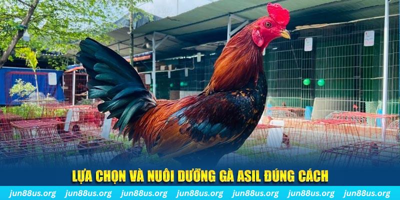 jili slot nổ hũ thần tài là gì