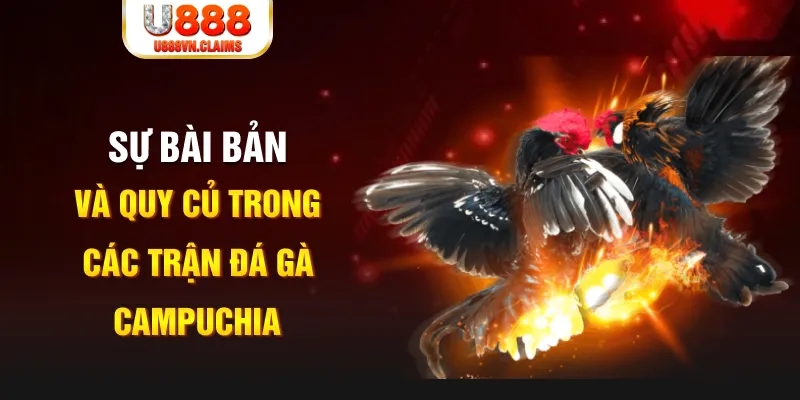 jili slot game xếp bài trên máy tính