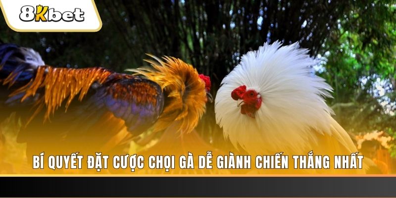 jili slot nổ hũ chơi như thế nào