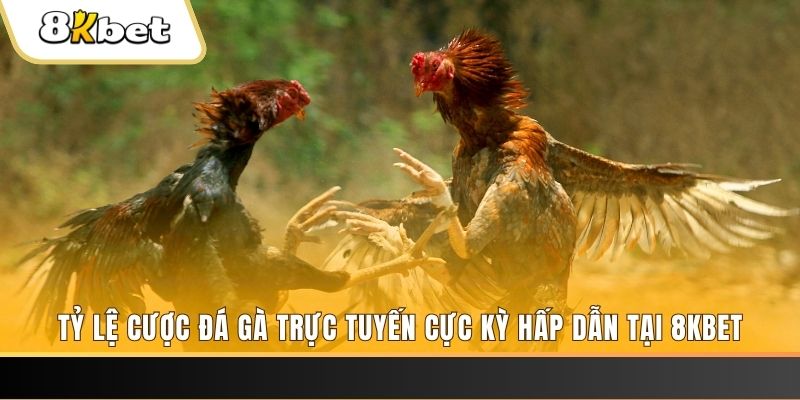 jili slot xổ số miền bắc chủ nhật