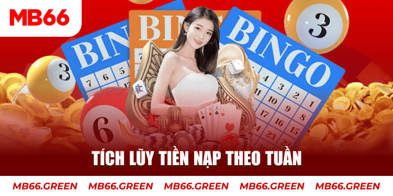 jili slot Trăm người Bo tám Bo chín