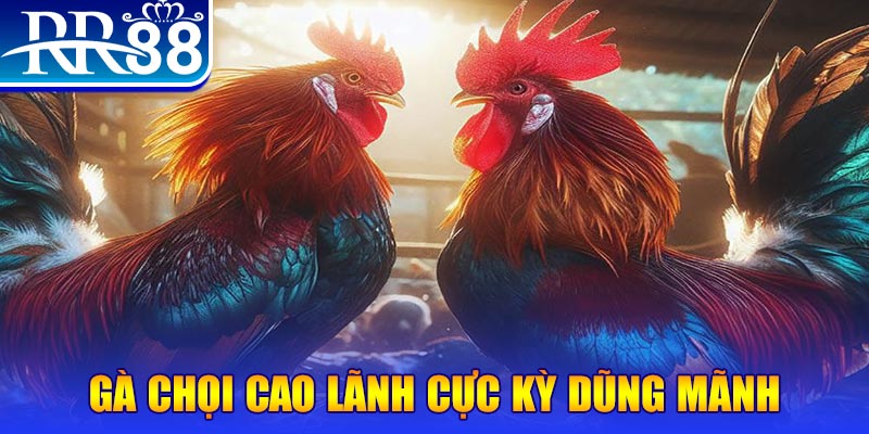 jili slot đăng nhập poker live